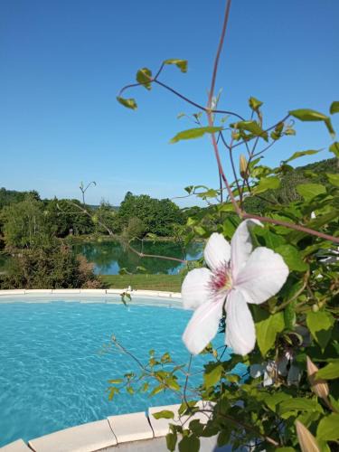 Anthe House | Au combe de canet