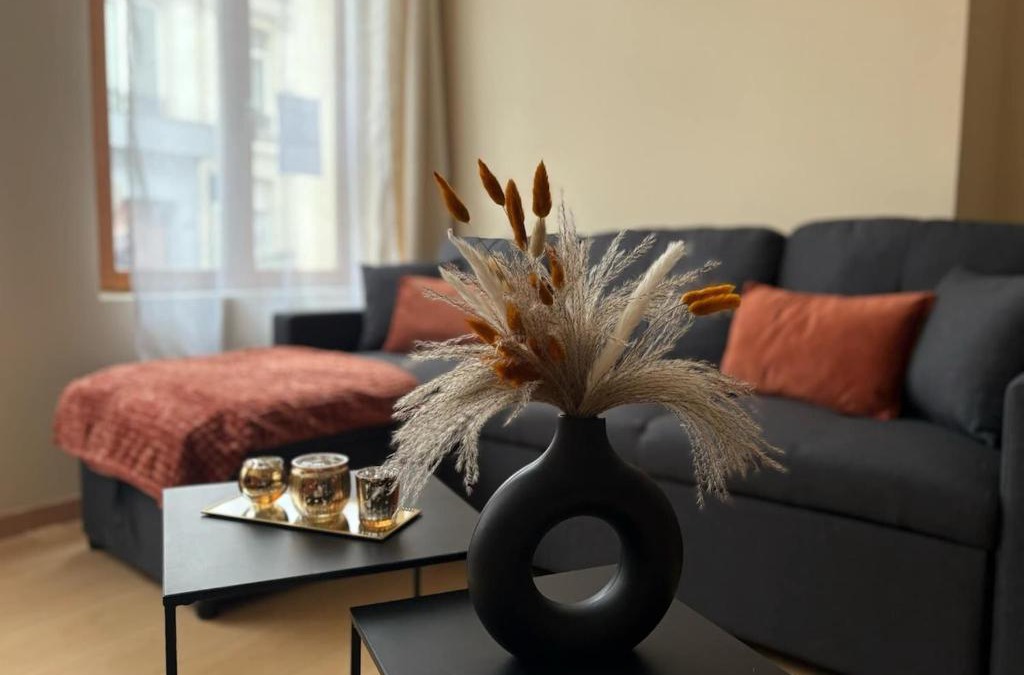 Aire-sur-la-Lys Apartment | Au Courant d'Aire!