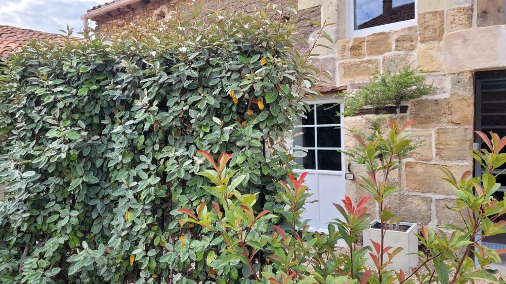 Les Verchers-sur-Layon House | Au creux des vignes