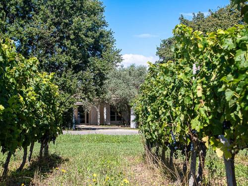 Ordonnac Bed & Breakfast | Au détour des vignes