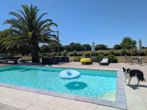 Chervettes Bed & Breakfast | Au domaine de Gigie