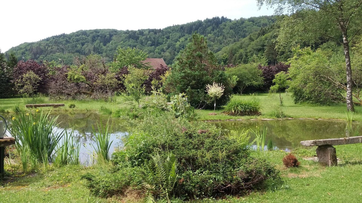 Vallee du Breuchin House | Au Pied des milles Étangs- LES CAPUCINS