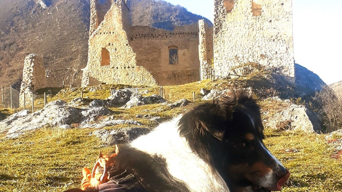 Tarascon-sur-Ariege House | AU Pied DU Chateau Miglos