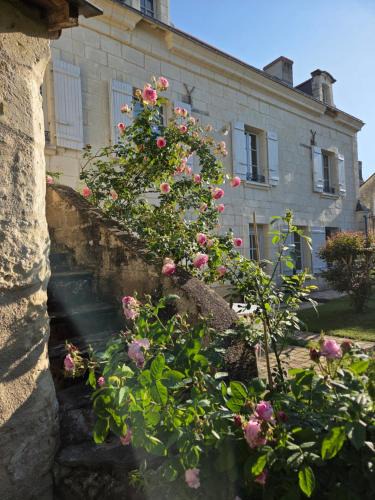 Charce-Saint-Ellier-sur-Aubance Bed & Breakfast | Au pied du Lavoir Chambre Odile