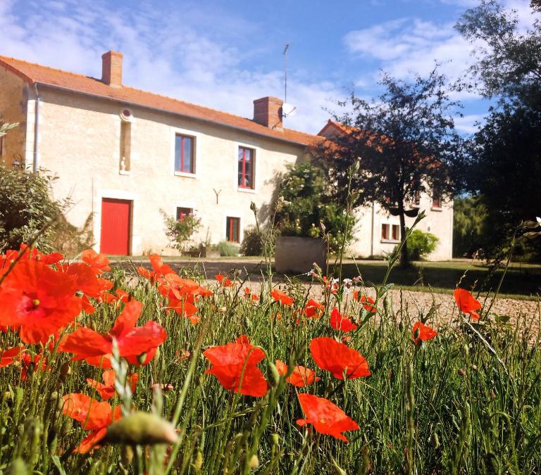 Braye-Sous-Faye House | Au repos des elfes