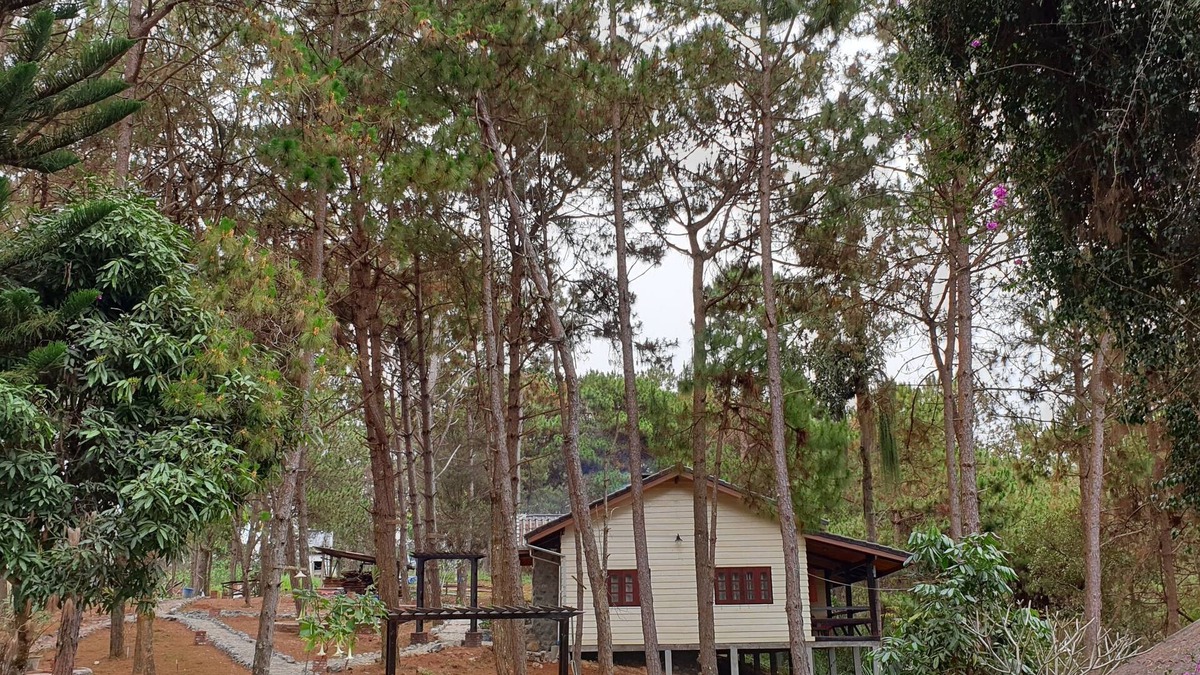 Phonsavan Hotel | Auberge Plain of Jars - Phouphadeng