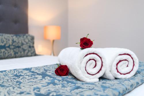 Palmerston North Hotel | Aubyn Court Spa Motel