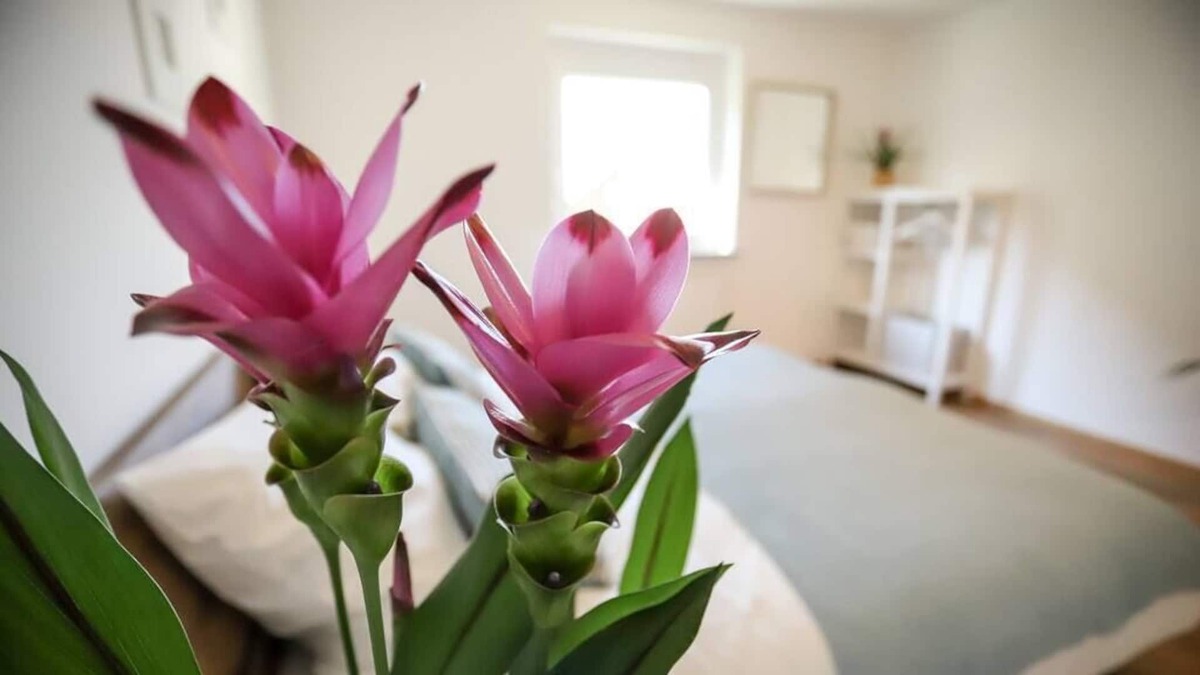 Lechhausen-Ost Apartment | ☆ AUGSBURG'S BIGGEST | 4 Bedrooms|Parking|Kitchen