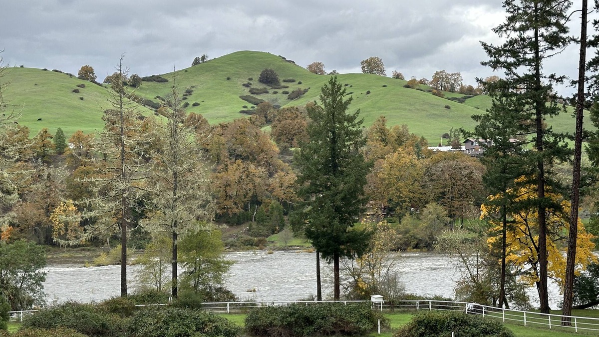 Roseburg House | August discounted rate: 25% off! Perfect for Family Gatherings!