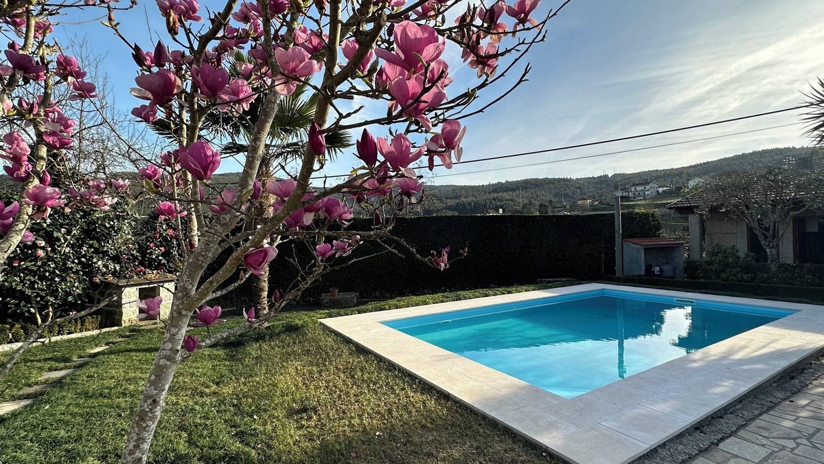 Castelo de Paiva Cottage | Aunt Palmira's House