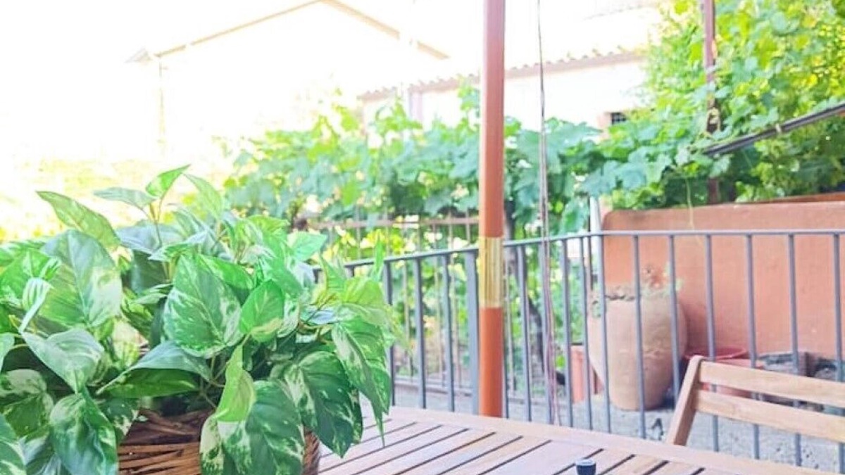 Solicchiata House | Aunt Pina's Palmento. Quiet house with garden at the foot of Mount Etna.