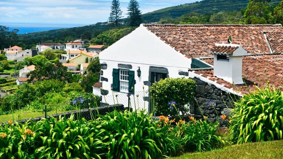 Capelo House | Auntie's House