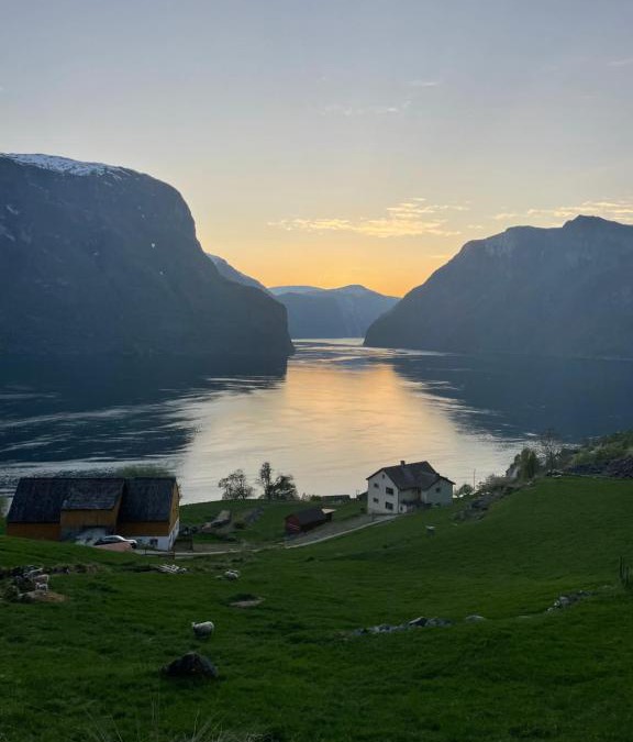 Aurland Apartment | Aurland Stegastein Apartment