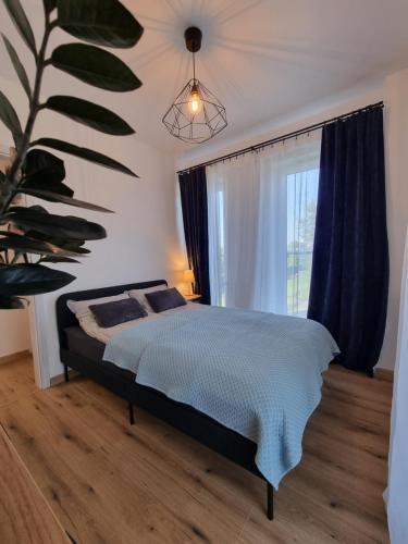 Oswiecim Apartment | Aurum Apartment