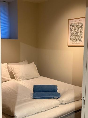 Nygard Apartment | Aurum Bergen Apartment
