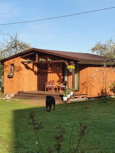 Skangali House | AUSMAS