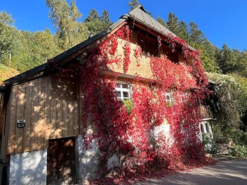Triberg im Schwarzwald Apartment | Auszeit am Kreisbach