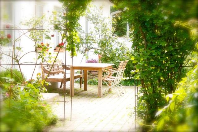 Apetlon Apartment | Auszeit