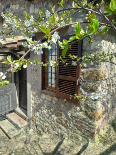 Tolfa Apartment | Autenticum Agriturismo Tolfa