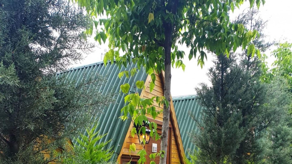 Cinarcik Apartment | Authentic Bungalow w Garden Near Beach in Armutlu