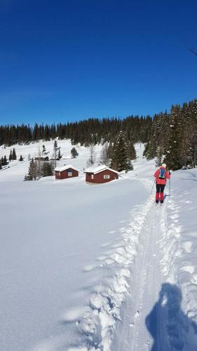 Hundorp House | Authentic Cabin Near Risgrånnbakken