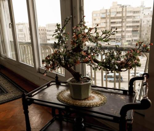 Heliopolis Apartment | Authentic Cozy Family Home with Prime Location