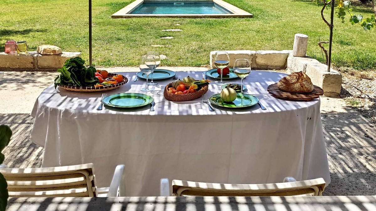 Barbentane House | Authentic mazet with swimming pool set in 2 hectares of olive groves