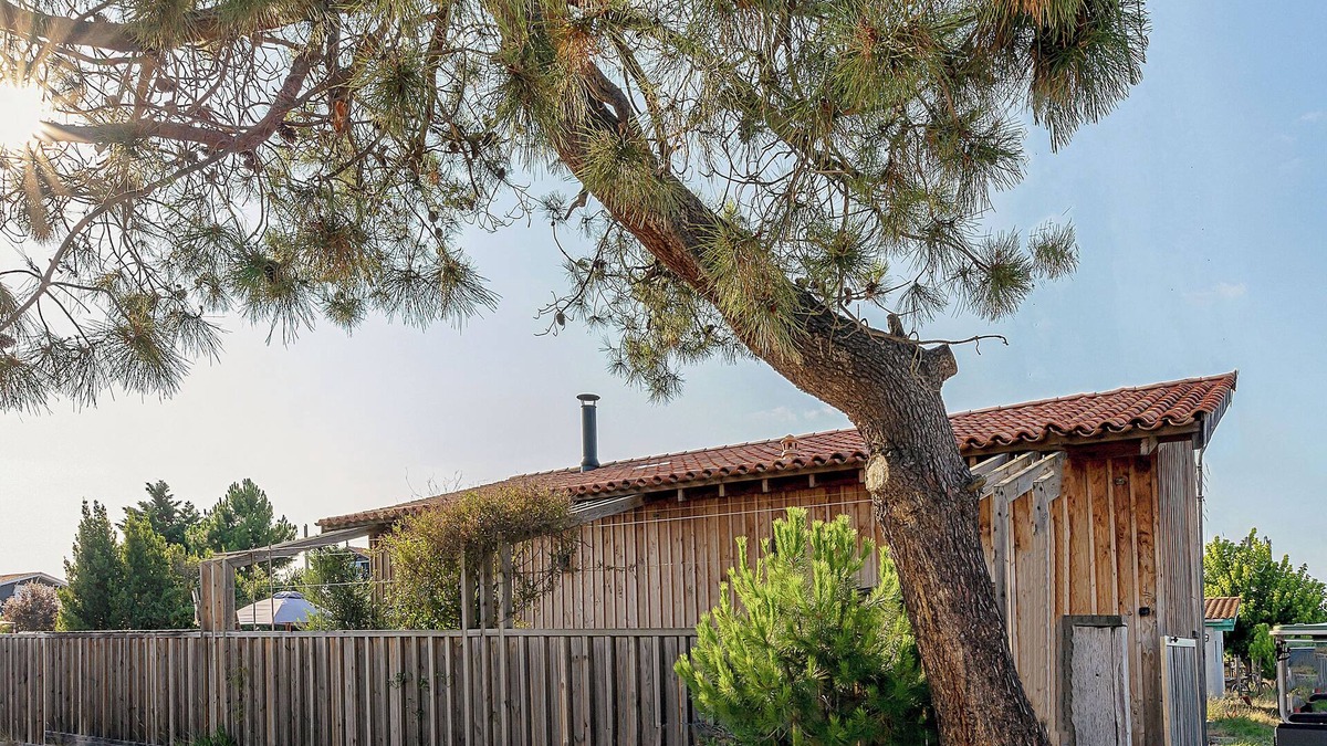 La Teste-de-Buch House | Authentique Cabane au Bord du Bassin