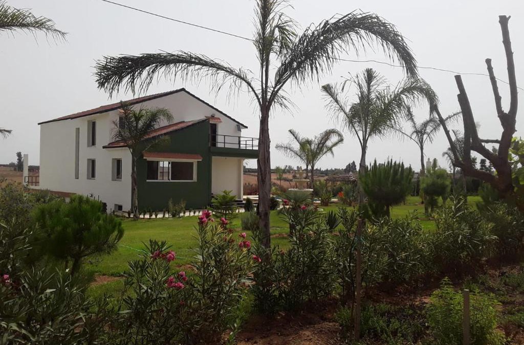 Sidi Abderrazak House | AUX DEUX DAUPHINS