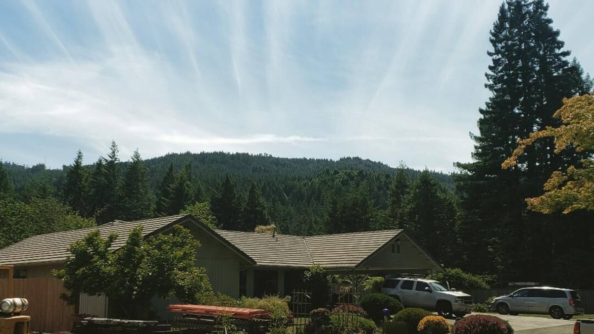 Bridgeville House | Avenue of the Giants Burl bungalow