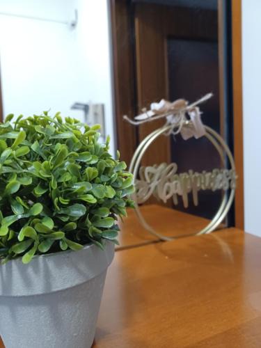Aviano Apartment | Aviano Interno 3