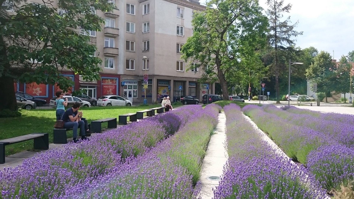 Kosice Old Town Apartment | Awesome 2BR city centre dream home+FREE garage