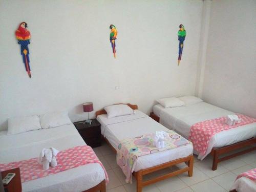 Puerto Maldonado Bed & Breakfast | Ayahuasca Hostel