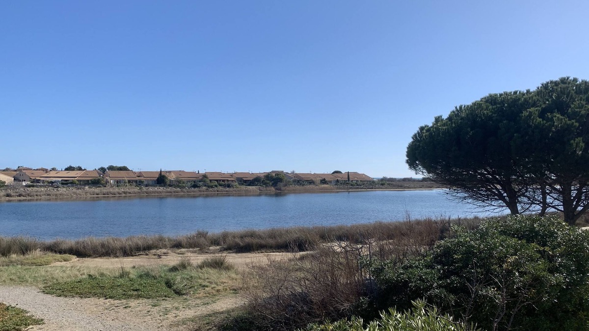 Les Ayguades Apartment | Ayguades - Apartment 4 people - pond view 54 m² 400m from the beach