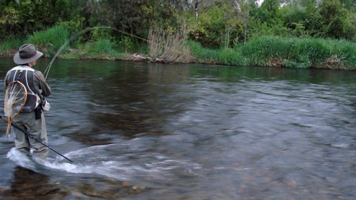 Bombowlee Cottage | Azalea Cottage - Tumut River