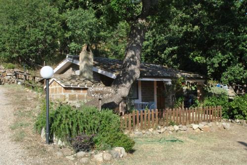 Tolfa House | Azienda Agricola Biologica La Cardellina