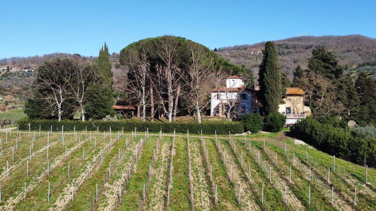Dicomano House | Azienda agricola Frascole