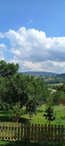Baiso House | Azienda agrituristica La Borgaccia