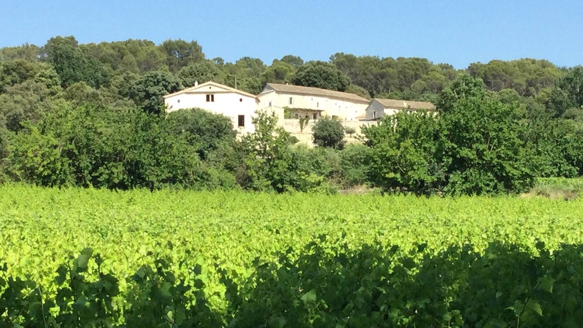 Bollene House | Bâtisse au Sein d un mas Provençal vue Imprenable