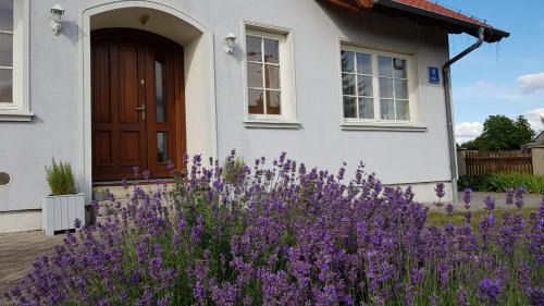 Wydminy House | Błękitny Domek