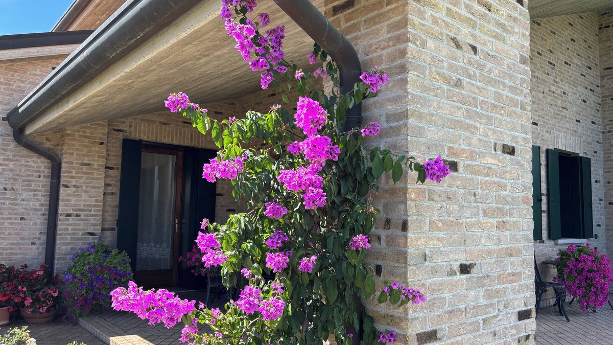 Pieve di Soligo Bed & Breakfast | B&B Alla Suite