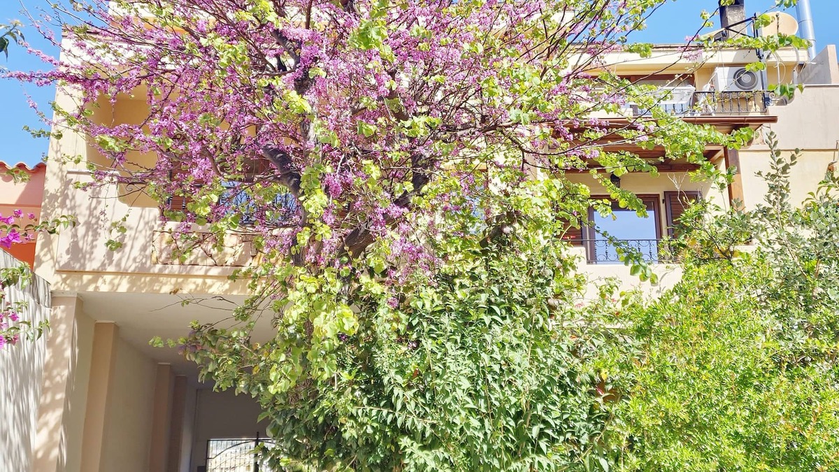 Villasimius Bed & Breakfast | B&B Ametista