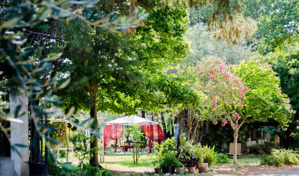 Policoro House | B&B Apricot