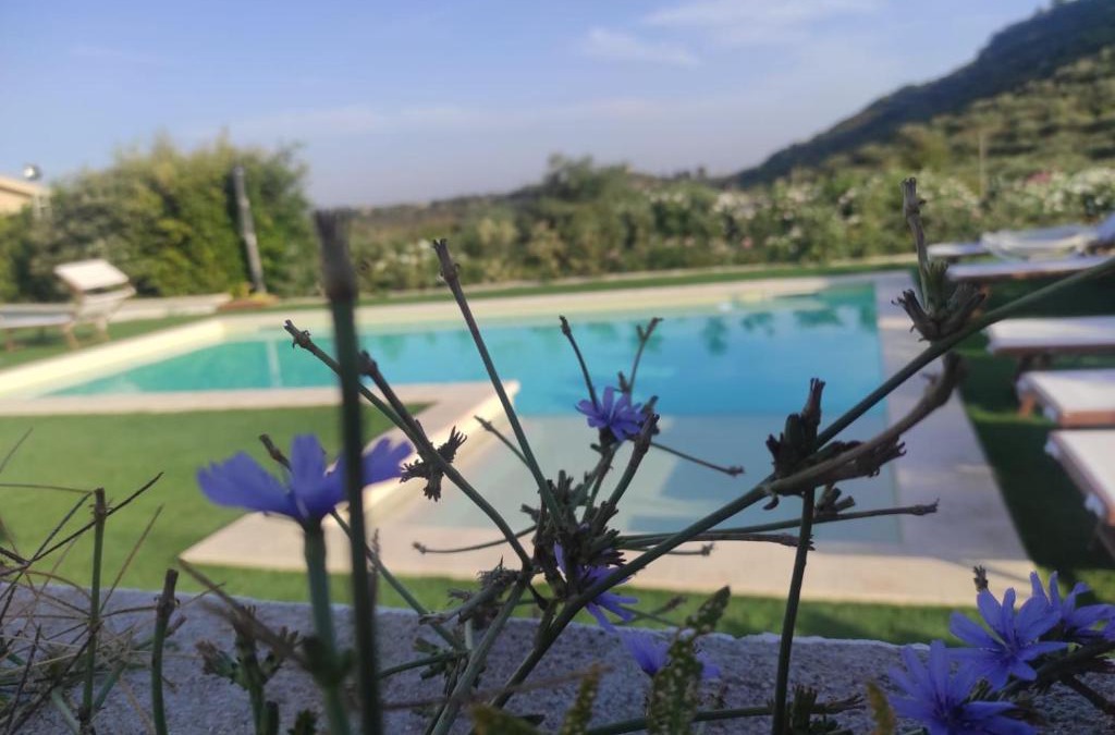 Ossi House | B&B Badde Tale
