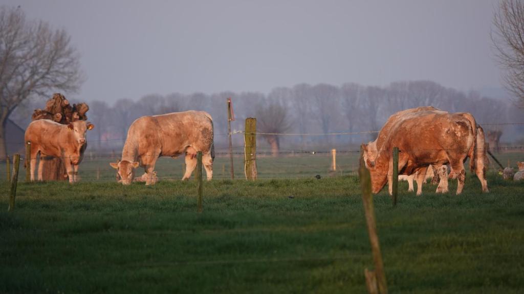 Steenderen Bed & Breakfast | B&B Bij Bronckhorst