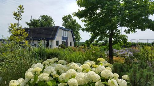 Rhenen Bed & Breakfast | B&B Bovenweg