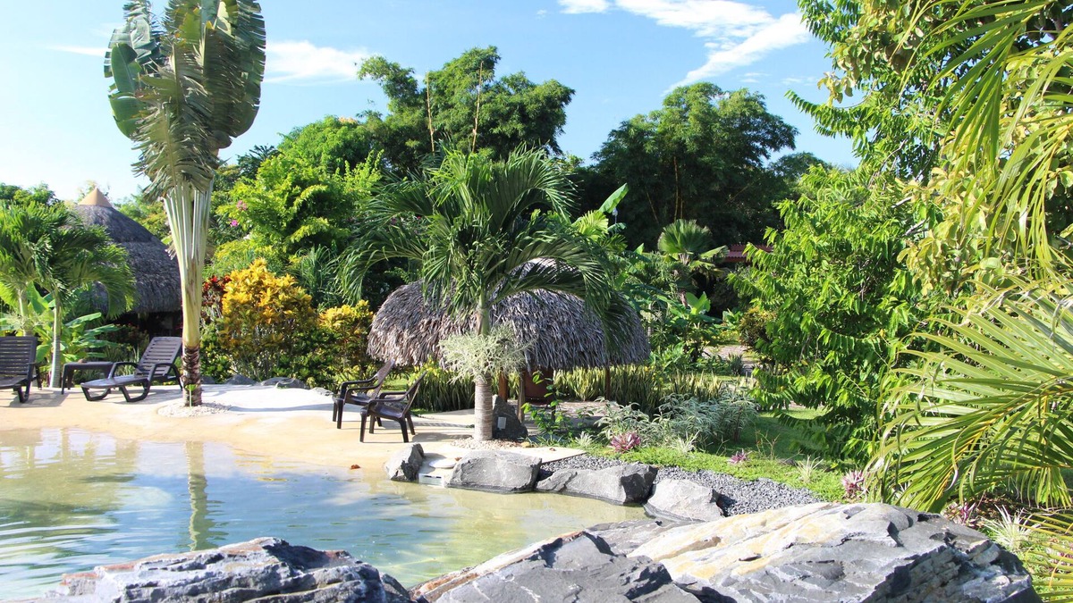 Copecito Bed & Breakfast | B&B CABANAS LOS COLIBRIS: Tropical garden, sea and mountains nearby!