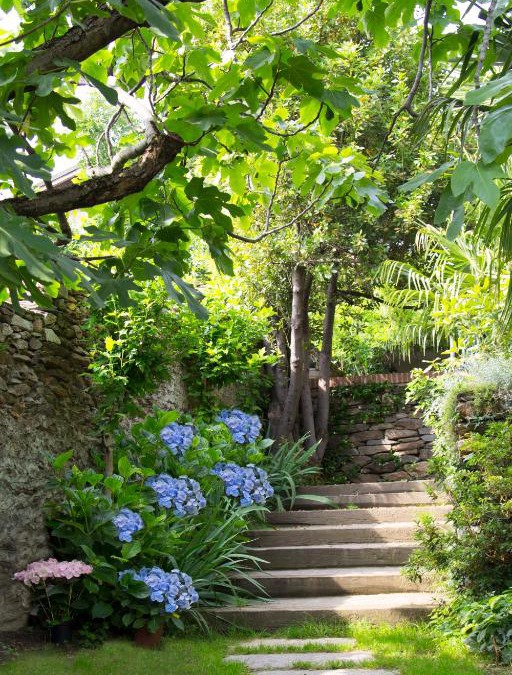 Pinerolo Bed & Breakfast | B&B Casa Carla