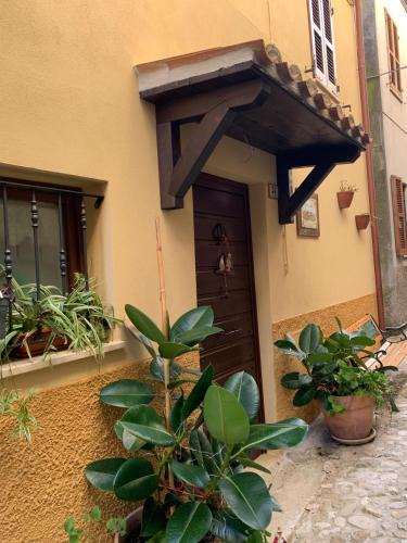 Ripatransone Apartment | B&B Casa di Carla