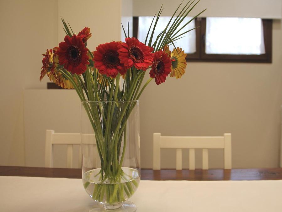 Sardara Bed & Breakfast | B&B Casa Olla